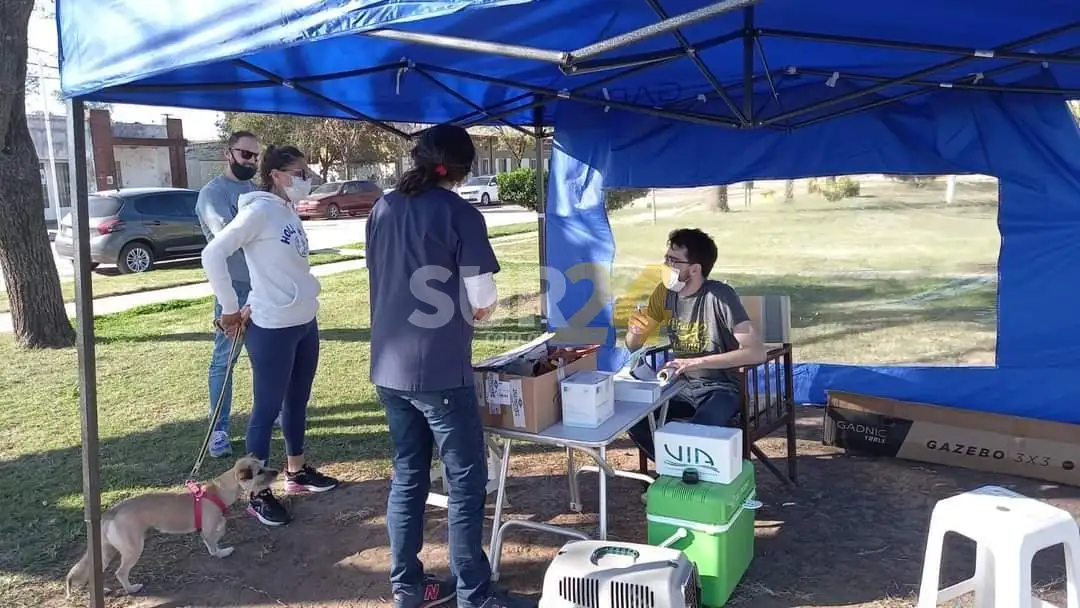 Segunda jornada de sanidad animal en María Teresa 