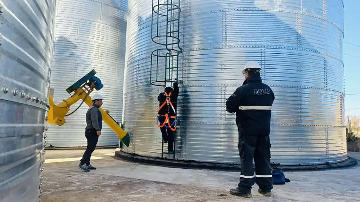 El organismo incautó 428 toneladas, lo equivalente a la capacidad de carga de 14 camiones.