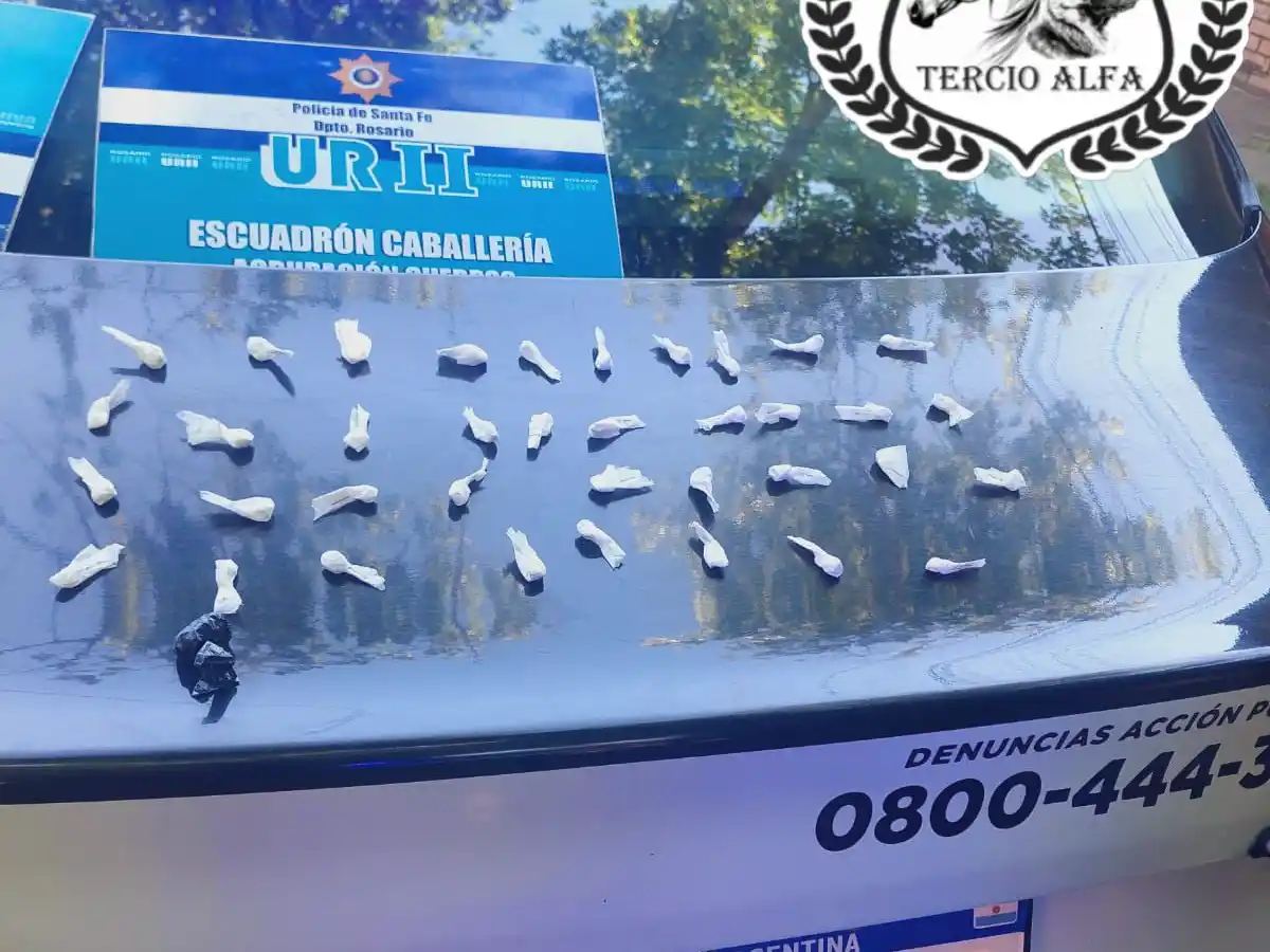 Un joven fue apresado luego de que le secuestraran 41 envoltorios con cocaína en la zona norte.