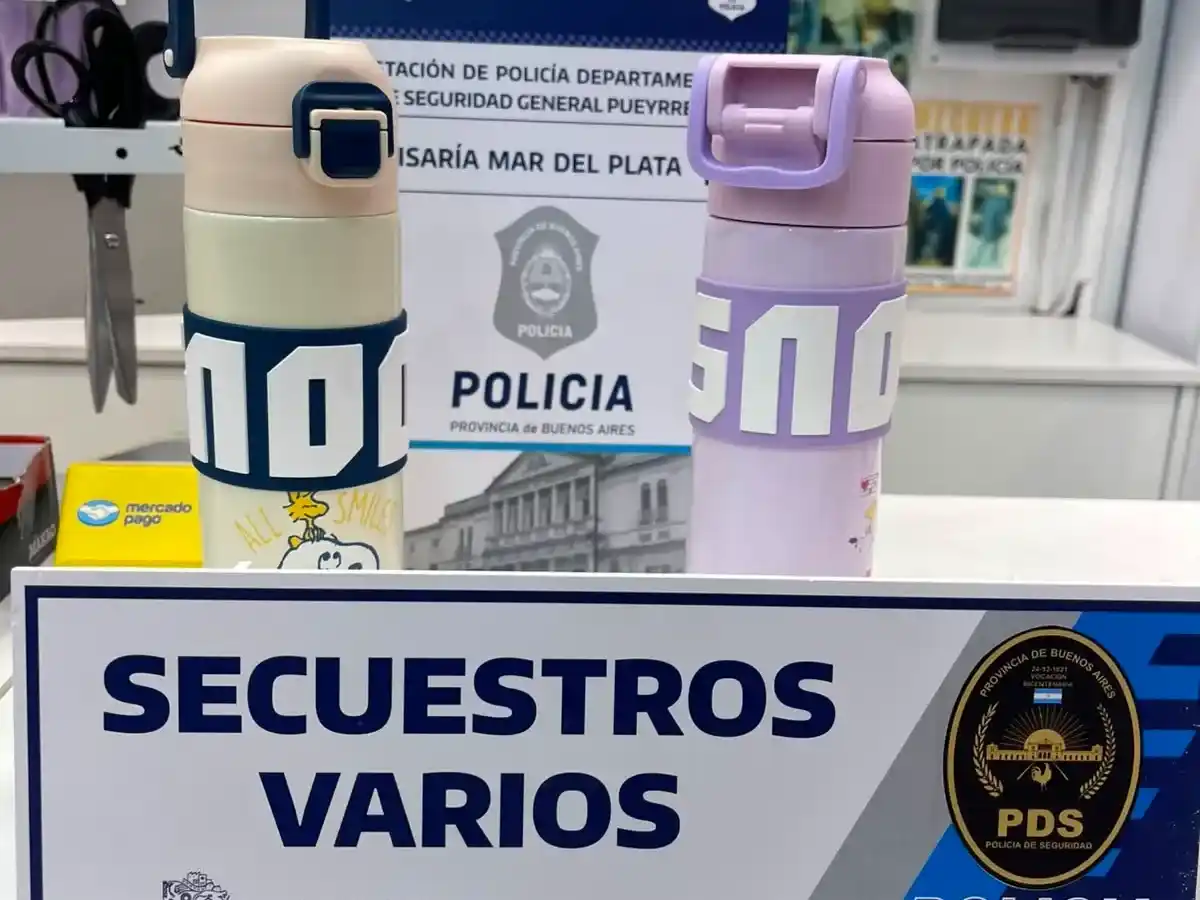 Demoraron a una adolescente de 15 años por intentar robar mercadería de un comercio céntrico