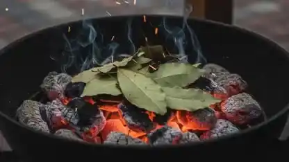 Misterio resuelto, ¿por qué muchos tiran hojas de laurel sobre las brasas del asado?