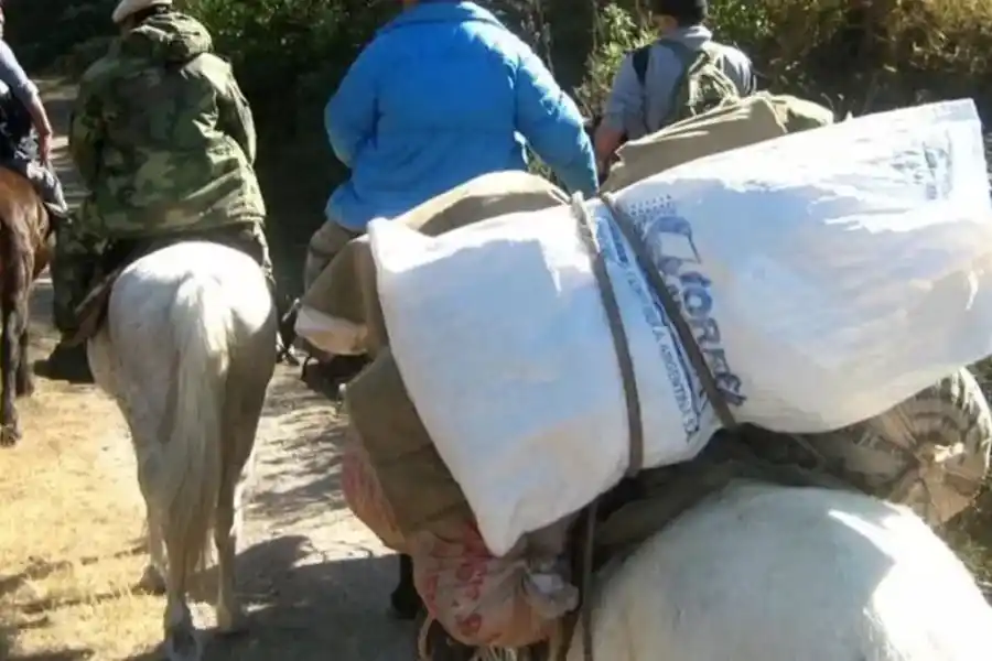 Elecciones 2023: un avión, 12 helicópteros, tres barcos y 100 mulas para llevar las urnas a todo el país