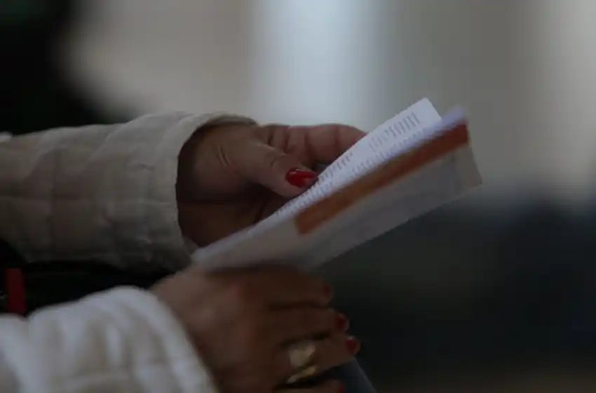 Amplia grilla de actividades especiales presenta el Festival de Cine