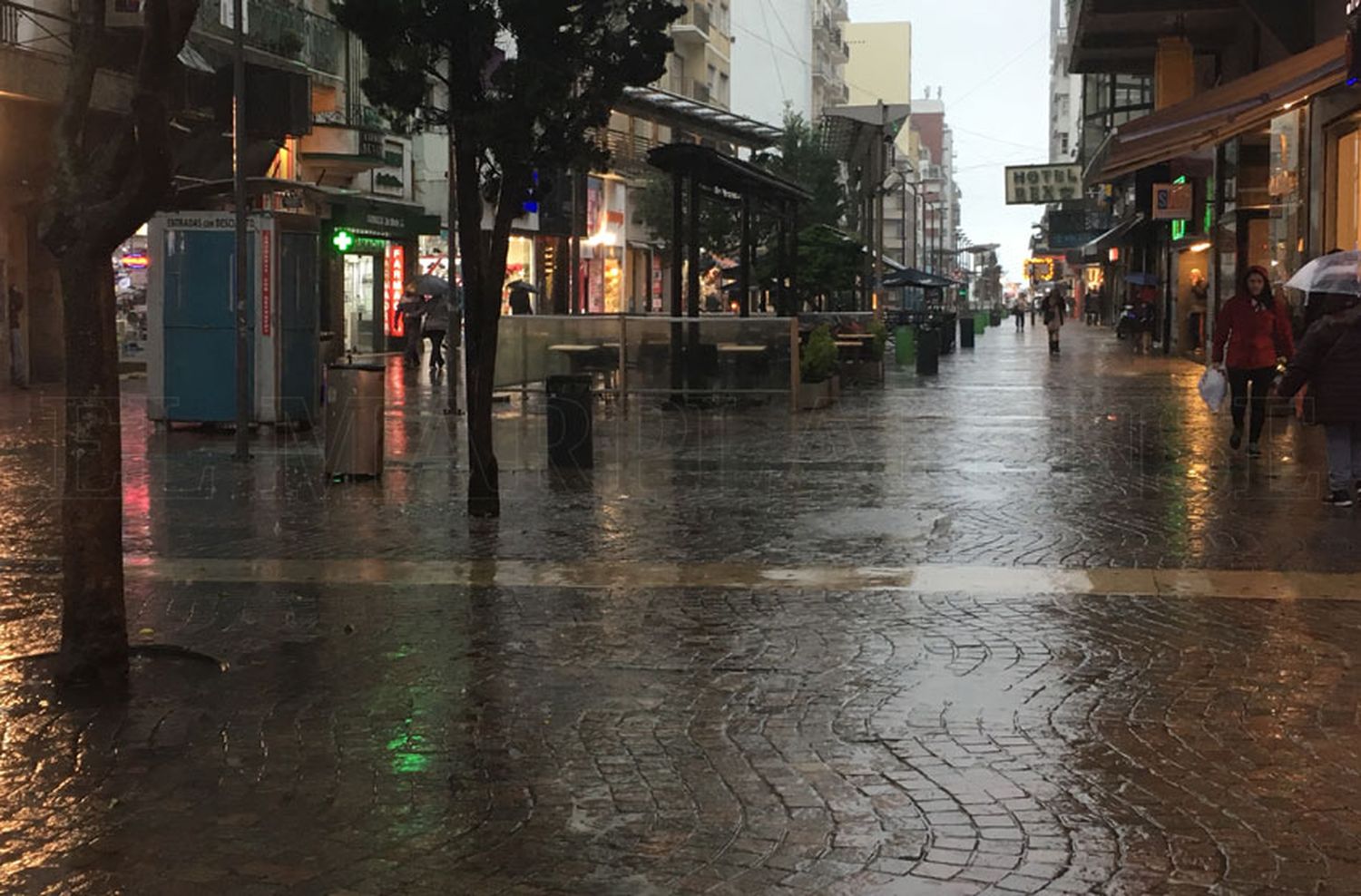 La tormenta despertó a Mar del Plata