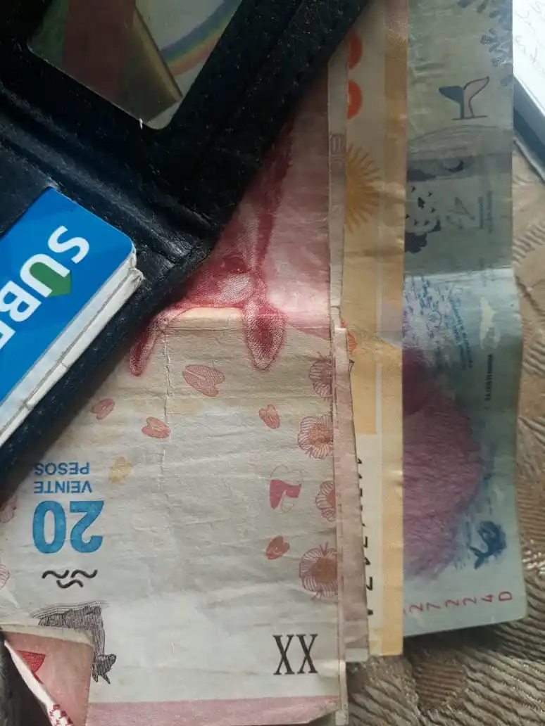 Dinero y tarjeta Sube
