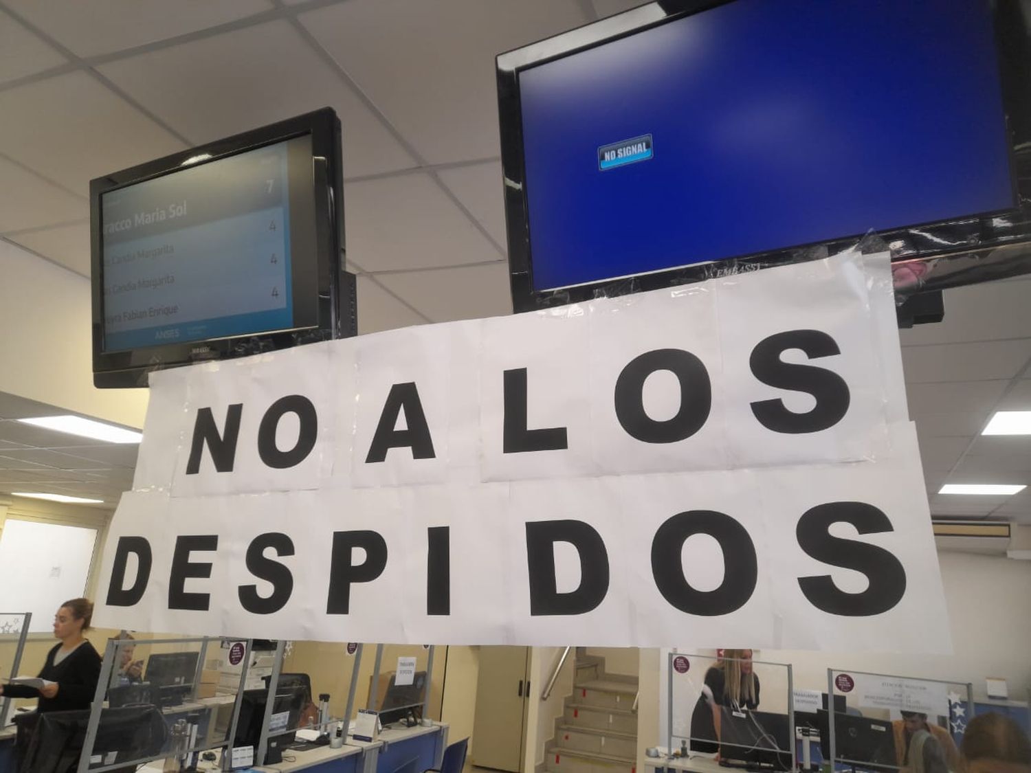 Anses despidos - 6