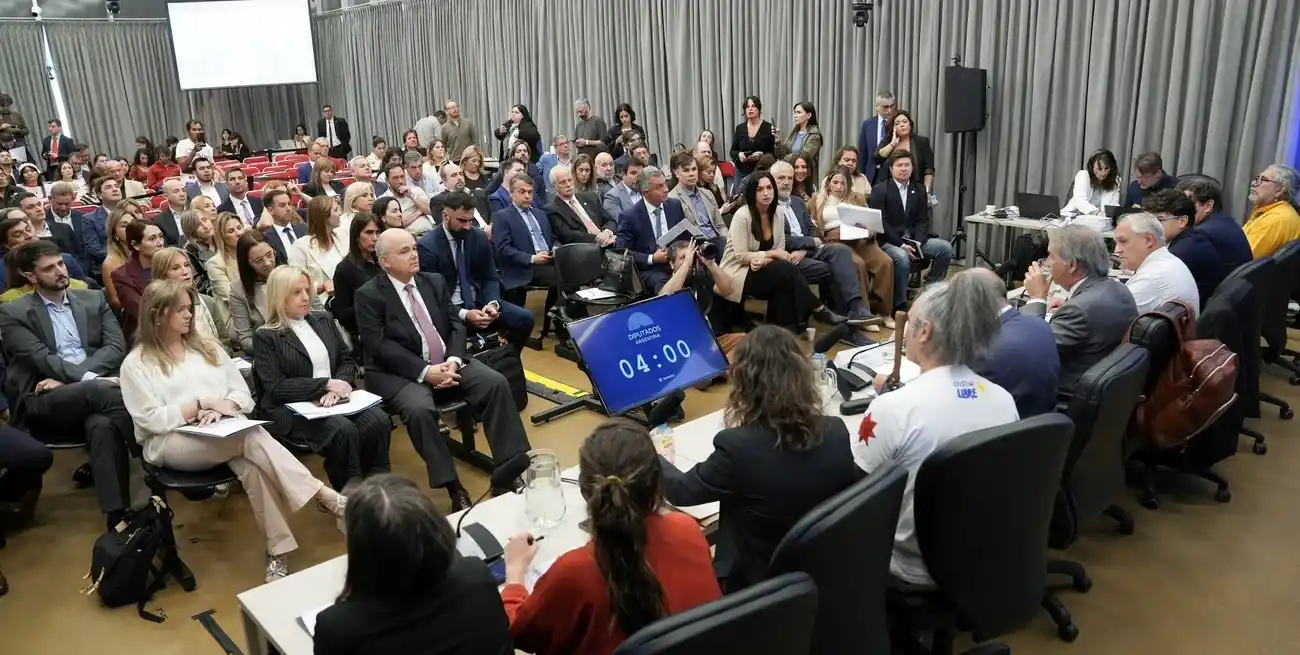 Ante la enorme cantidad de personas que se inscribieron para participar de la audiencia pública sobre la Ley de Glaciares y la importancia del tema, desde UxP piden una consulta popular vinculante. Foto: Archivo.