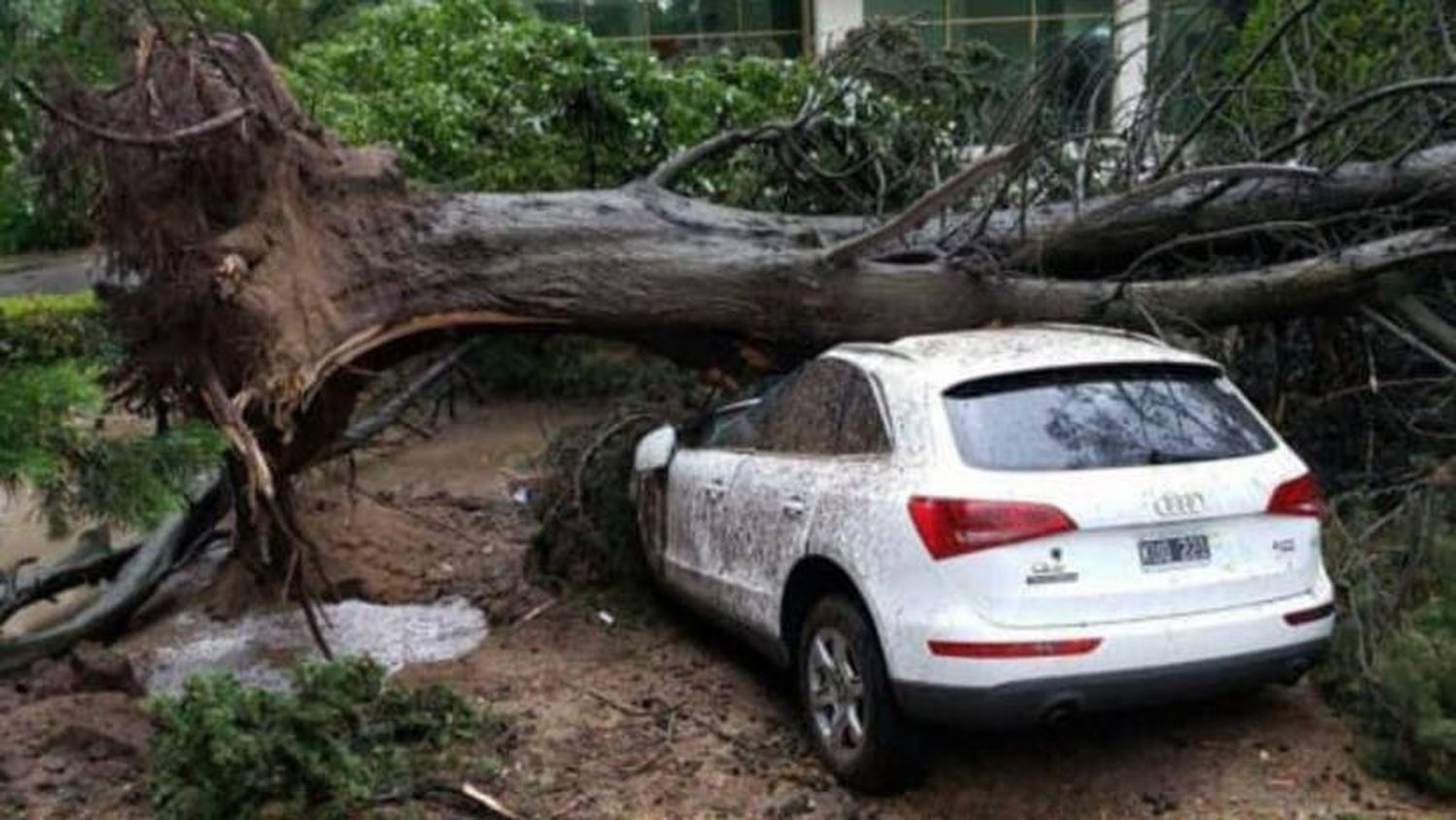 Post Tormenta: Una tromba marina pasó por Pinamar y provocó destrozos