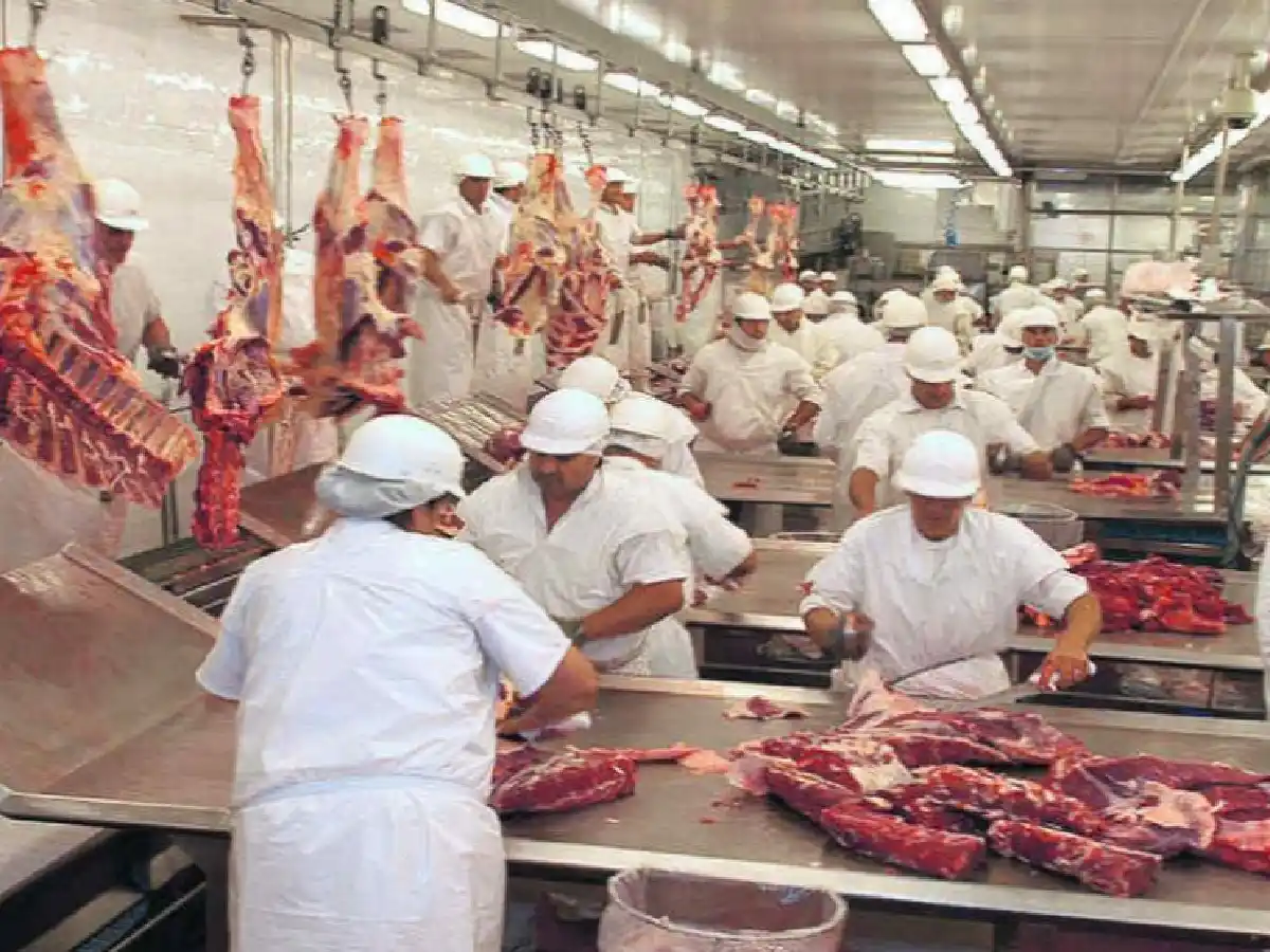 Frigoríficos de Santa Fe paran actividad y podría haber faltantes de carne 
