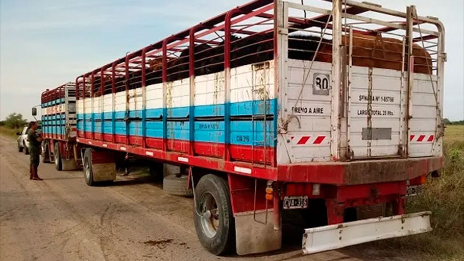 Senasa modificó las condiciones sanitarias para el transporte de animales