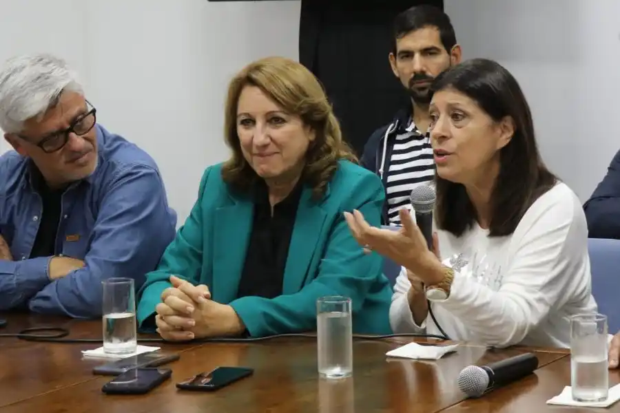 Fein: “Declararon tarde la emergencia pediátrica y ahora está en riesgo la salud de los niños”