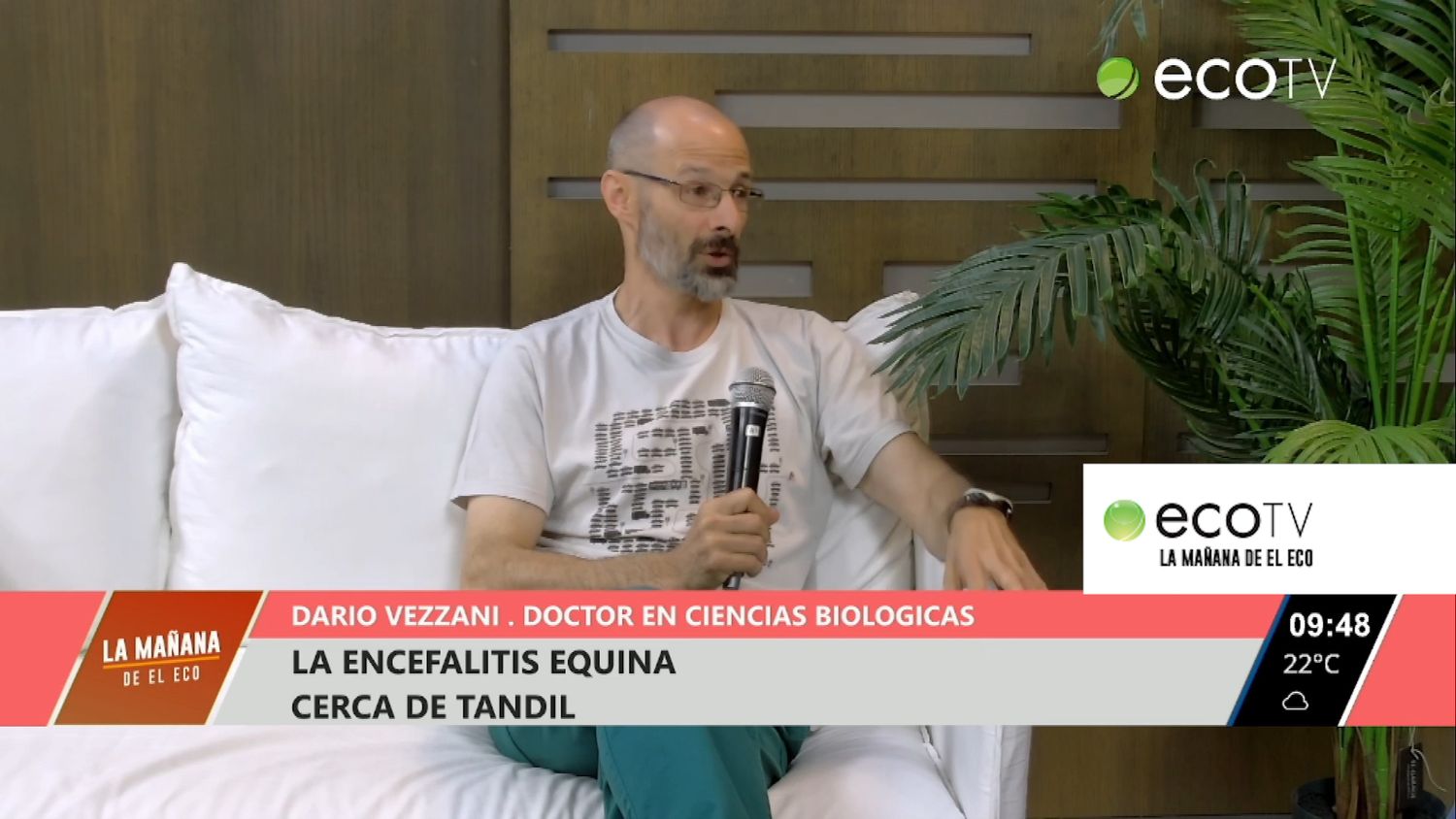 Cuidados y prevención del dengue