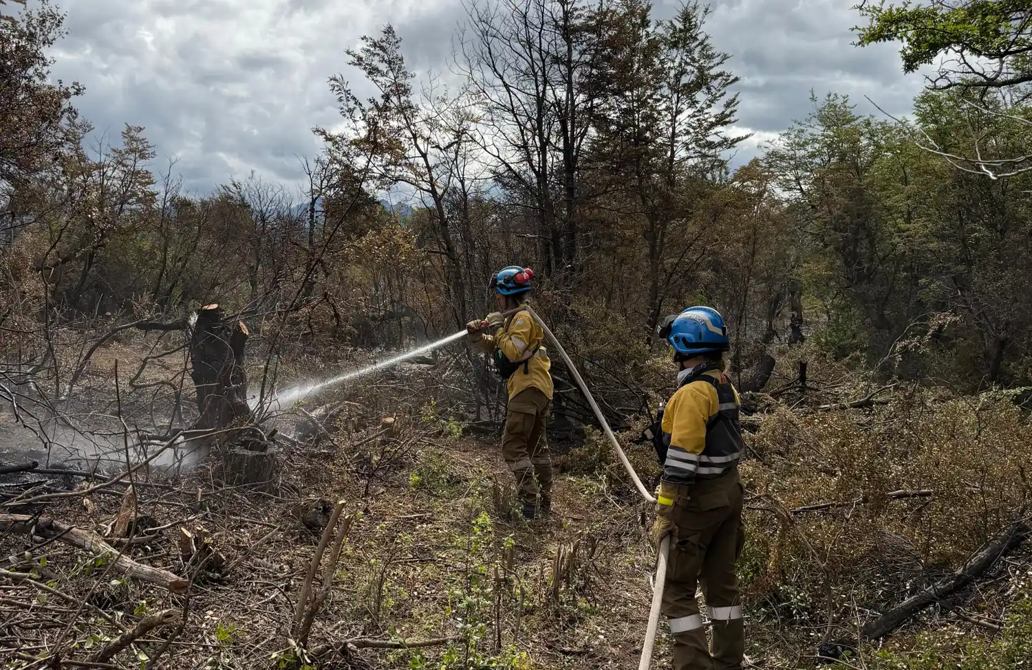 bomberos de Córdoba