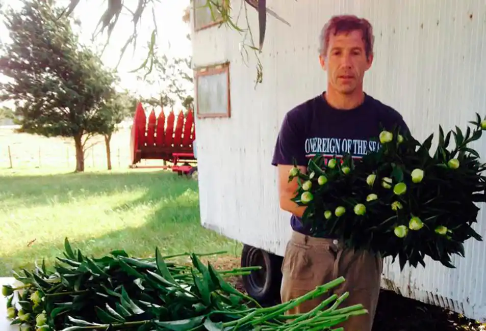 Se arriesgaron a plantar peonías en Tandil y cosecharon un éxito de exportación