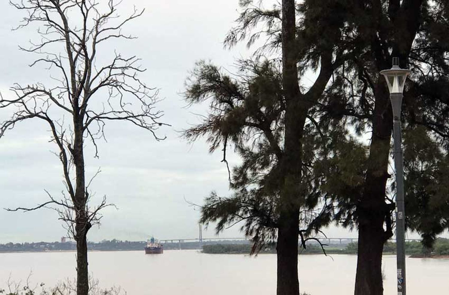 La semana comienza con pronóstico de lluvias y bancos de niebla