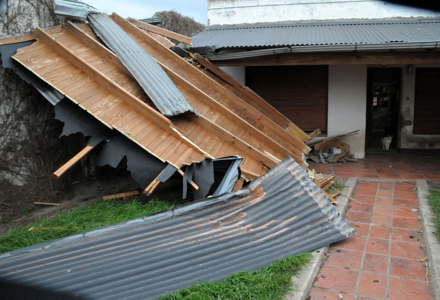 Las impactantes imágenes que dejó el temporal de viento
