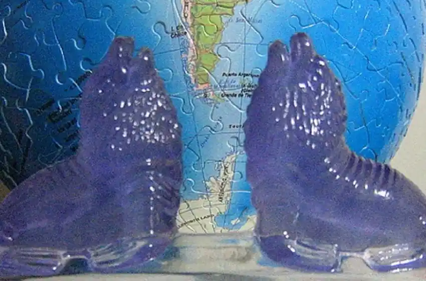 El “lobo marino del clima”, la vedette del verano en la feria de artesanos