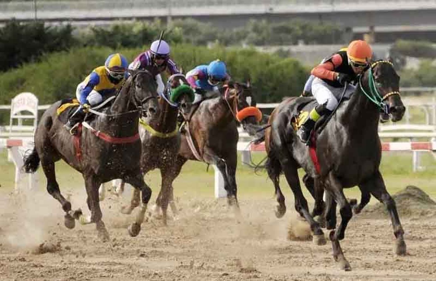 Viernes 27: Actividad Hipódromo de Palermo