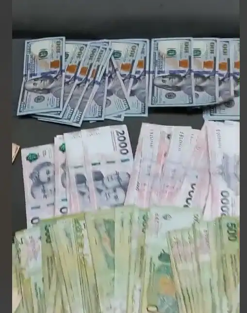Parte del dinero en efectivo incautado en el allanamiento.