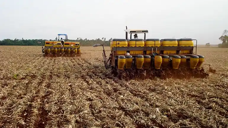 Trigo: finalizó la siembra superando las expectativas