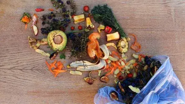 Día Internacional contra el Desperdicio de Alimentos: "todos podemos hacer algo para seguir disminuyendo esta cifra"