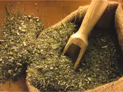 El consumo de mate se redujo en casi un millón de kilos