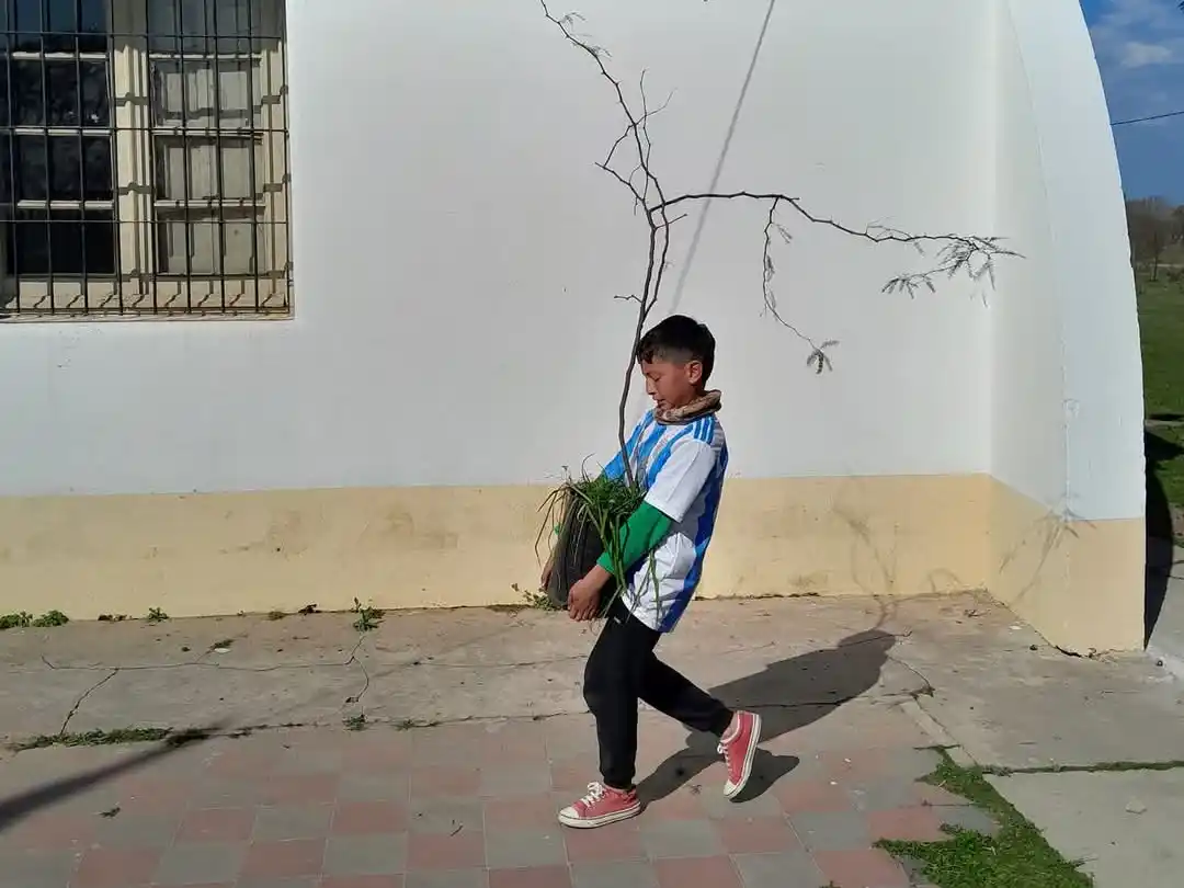 “Gualeguay te quiero verde”, la insistencia de plantar árboles
