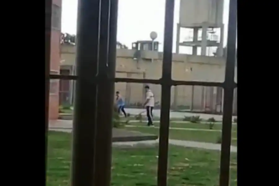 Filmaron a los rugbiers que mataron a  Báez Sosa cortando el pasto de la cárcel entre gritos e insultos