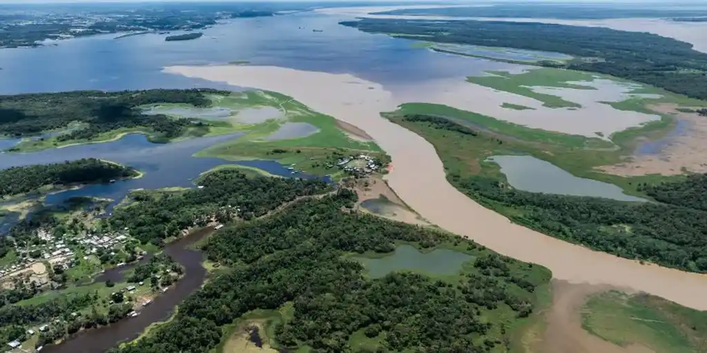 Creció la deforestación en la Amazonia brasileña.