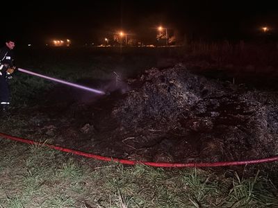 Rápida intervención de bomberos venadenses por incendio forestal en rutas 8 y 4S