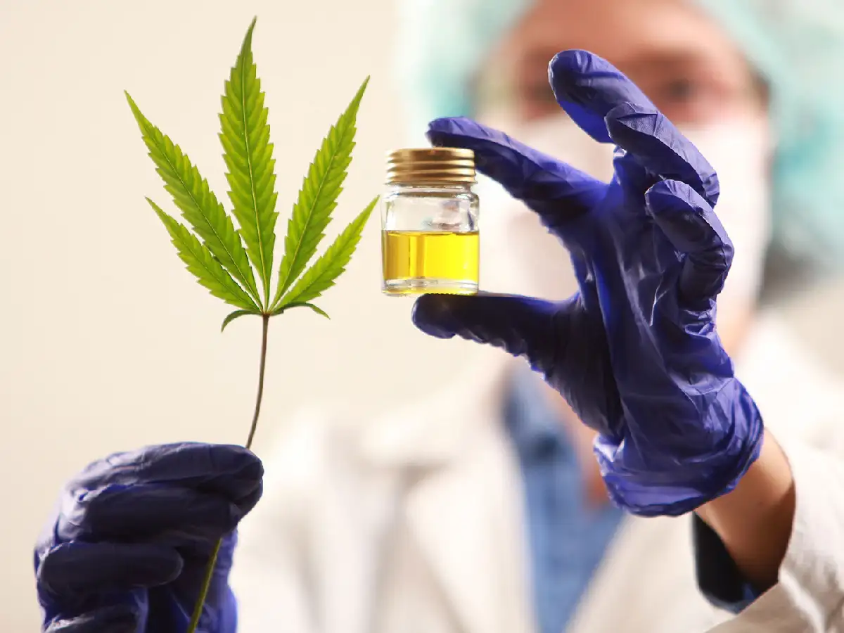 Córdoba adhiere a la ley de cannabis medicinal