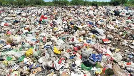 Vecinos denuncian basural a cielo abierto en Salto
