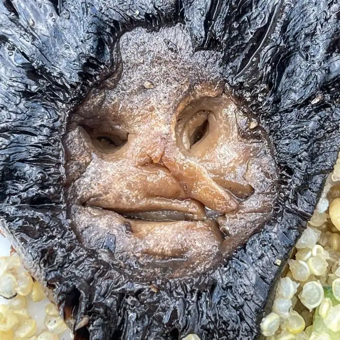 Arte en la comida