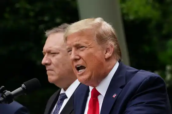 En medio de la pandemia, Trump sale de la OMS y produce impacto global
