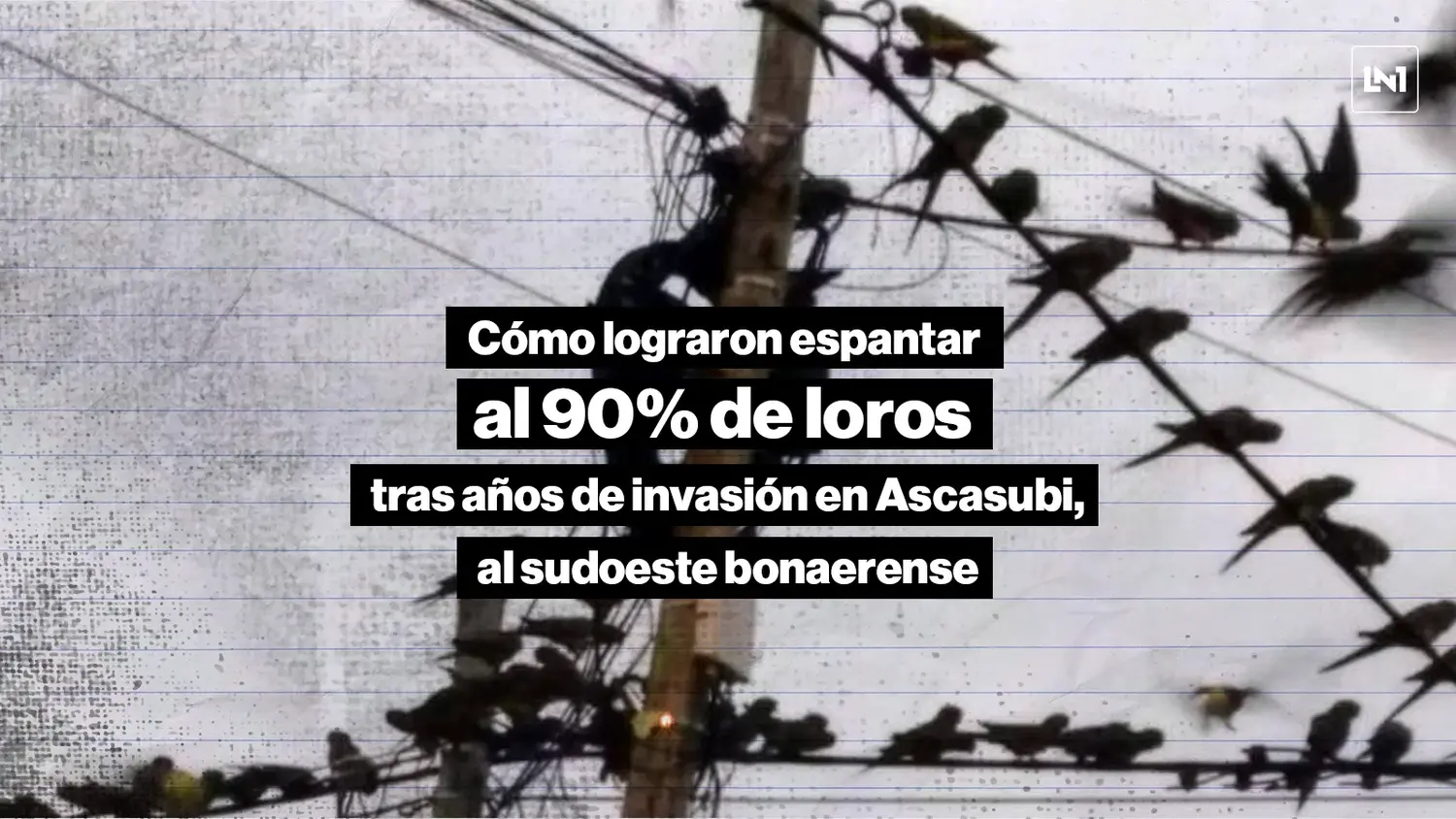 El método es tan simple como difícil de llegar al mismo