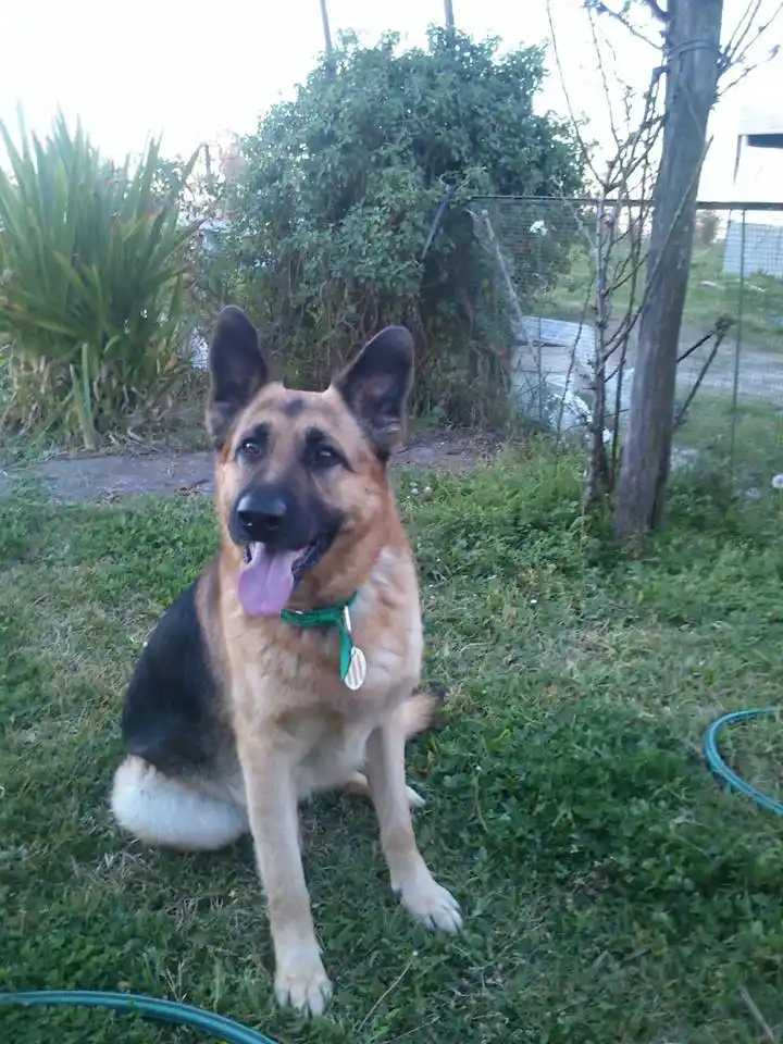 VIDEO: Facu rompió la basura, pero sabe cómo disculparse