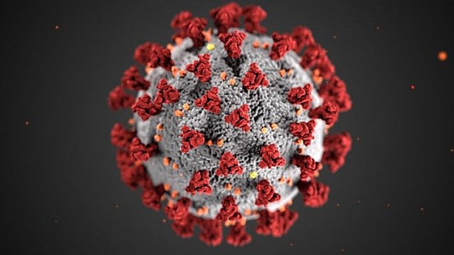 El virus Sars-CoV-2 podría autodestruirse