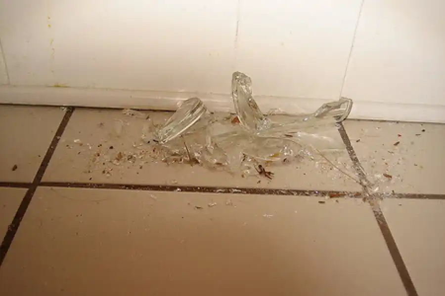 La novia dejó entrar a la censista al baño: se enojó, le arrojó un vaso y quedó detenido por violencia de género