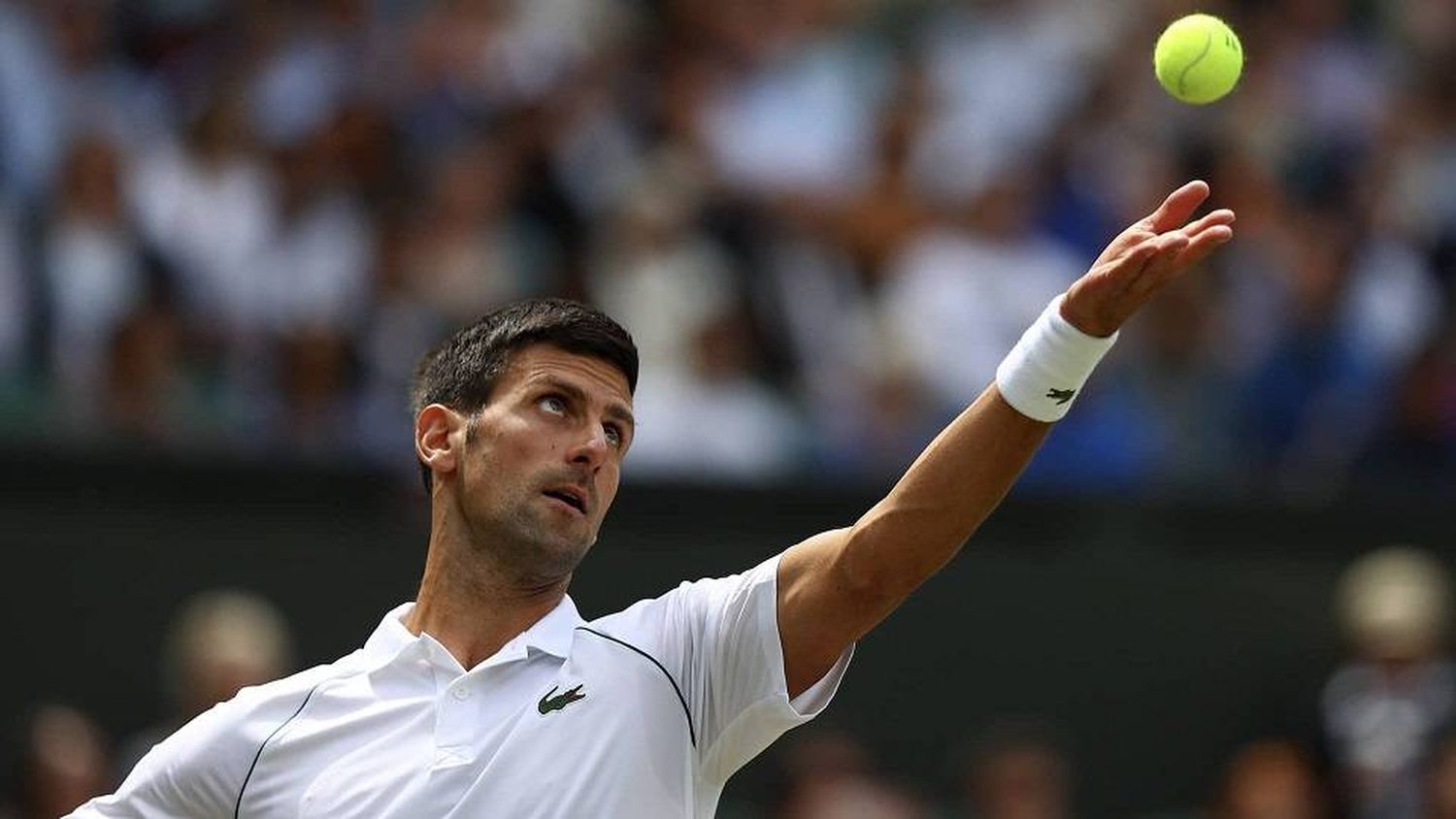 Cuartos de final en Wimbledon