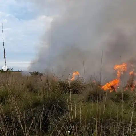 Bomberos trabajaron cinco horas sofocando un incendio