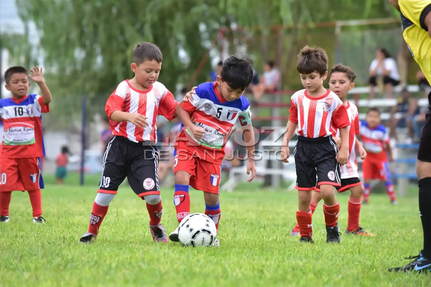 Los chicos vuelven a salir a las canchas