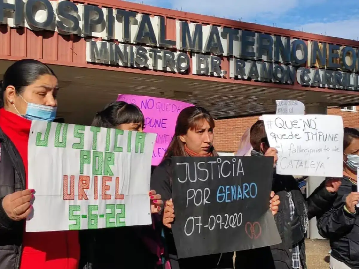 Muerte de bebés en el Hospital Neonatal: detuvieron a la ex directora