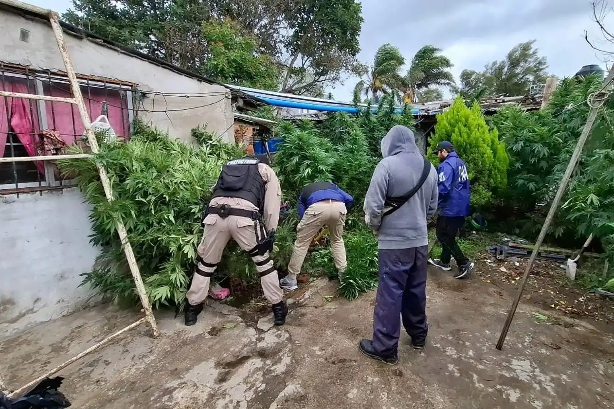 La operación llevaba por título "Baywatch" y se realizó en diversos puntos de la ciudad.