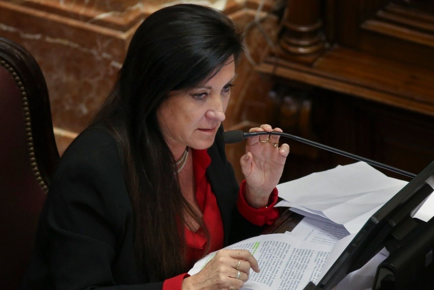 Laura Rodríguez Machado, presidenta de la comisión de Legislación Penal