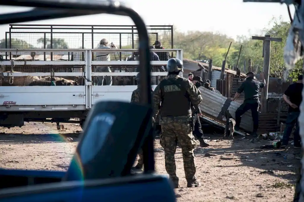 Este fue el destino de los animales maltratados por “El Viejo” Cantero en Rosario