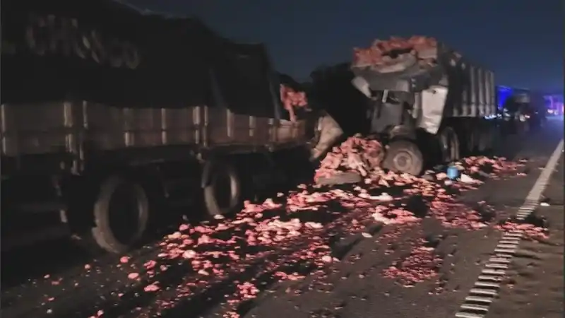 Foto: Noticias de San Pedro