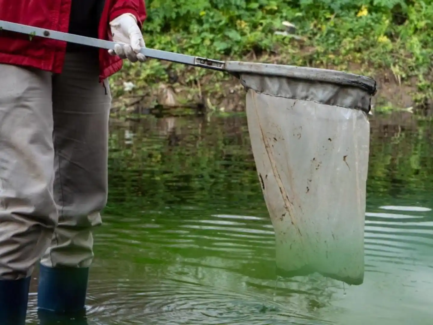 Los estudios detectaron alta carga bacteriológica y bajos niveles de oxígeno disuelto en algunos tramos del curso de agua.
