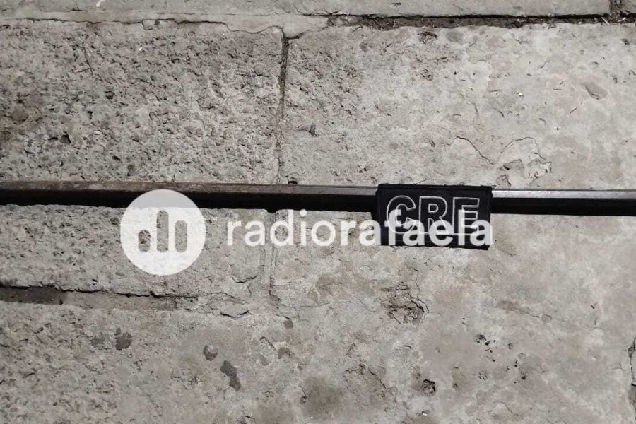 Agarró a palazos a su vecino