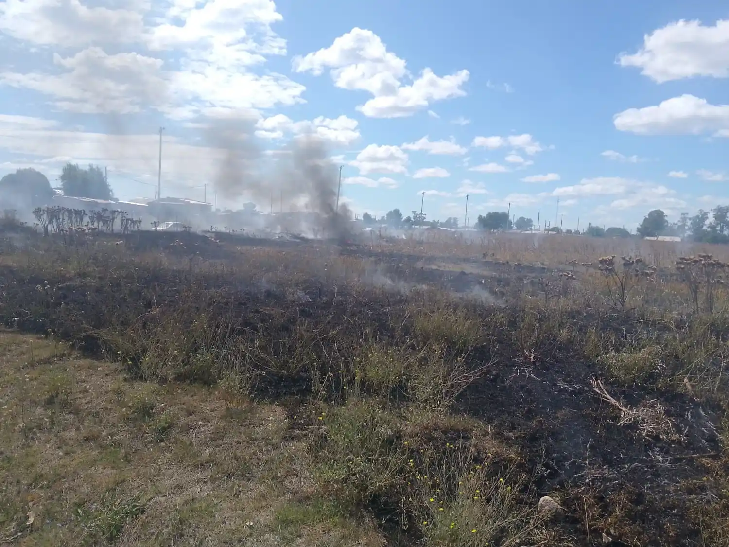 En un descampado de calles 55 y 88, se produjo un incendio de pastizales esta tarde que generó preocupación