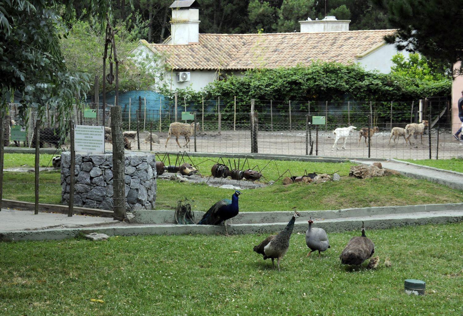 Granja Los Pibes funcionará como delegación de Flora y Fauna para el centro sur de la Provincia